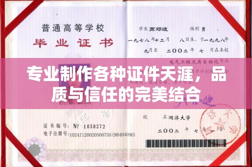 西工专业制作各种证件天涯，品质与信任的完美结合