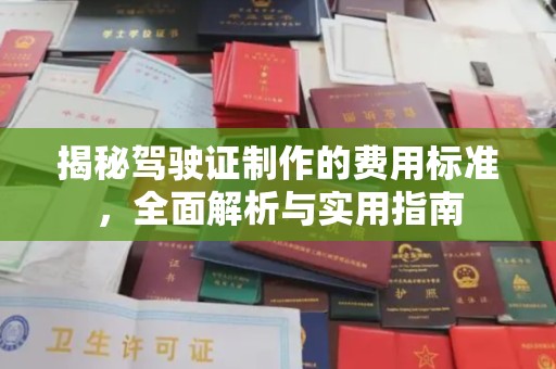 西工揭秘驾驶证制作的费用标准，全面解析与实用指南