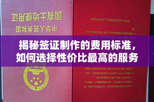 西工揭秘签证制作的费用标准，如何选择性价比最高的服务？