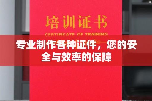 西工专业制作各种证件，您的安全与效率的保障