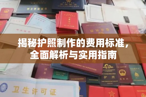 西工揭秘护照制作的费用标准，全面解析与实用指南