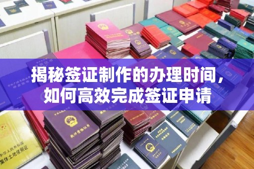西工揭秘签证制作的办理时间，如何高效完成签证申请