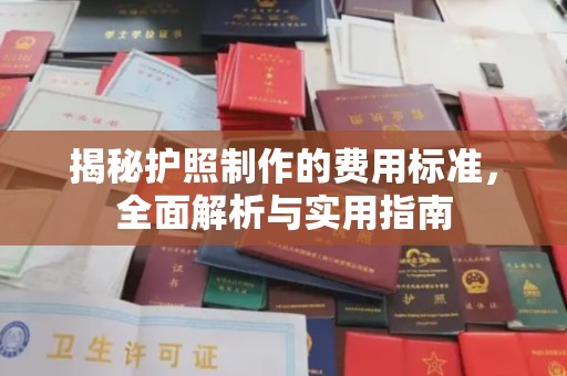 西工揭秘护照制作的费用标准，全面解析与实用指南