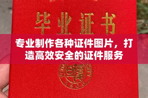 西工专业制作各种证件图片，打造高效安全的证件服务
