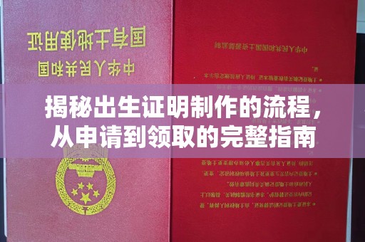 西工揭秘出生证明制作的流程，从申请到领取的完整指南