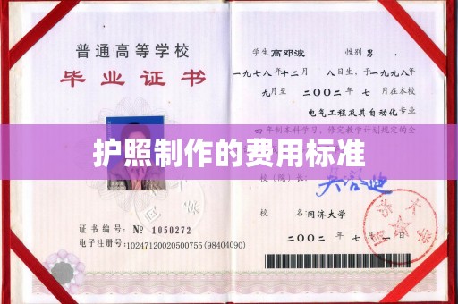 西工护照制作的费用标准
