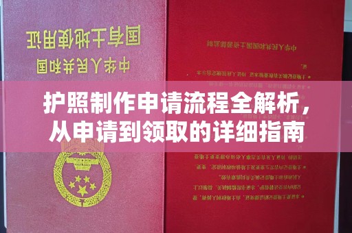 西工护照制作申请流程全解析，从申请到领取的详细指南