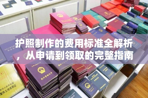 西工护照制作的费用标准全解析，从申请到领取的完整指南